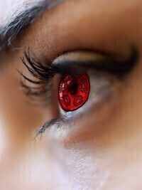 Uchiha's Butterfly